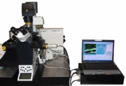 FLIM Systems for Leica Microscopes