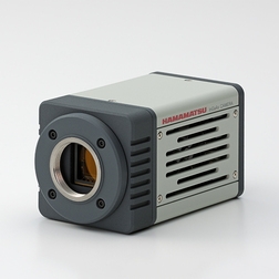 C12741-03-02 product image