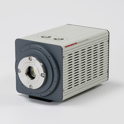 C12741-11 Product Image